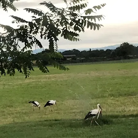 Location 4 Personnes - La Petite Maison *