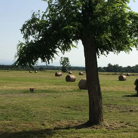 Location 4 Personnes - La Petite Maison Дом отдыха Mazeres (Ariege)