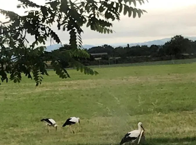 Location 4 Personnes - La Petite Maison *