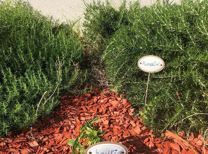 Сasa de vacaciones Location 4 Personnes - La Petite Maison *