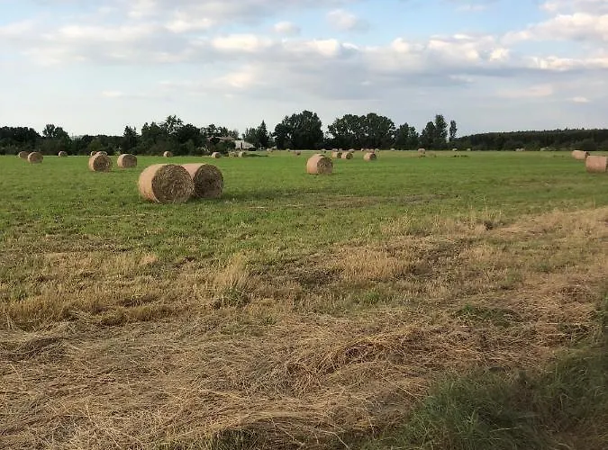 Сasa de vacaciones Location 4 Personnes - La Petite Maison *