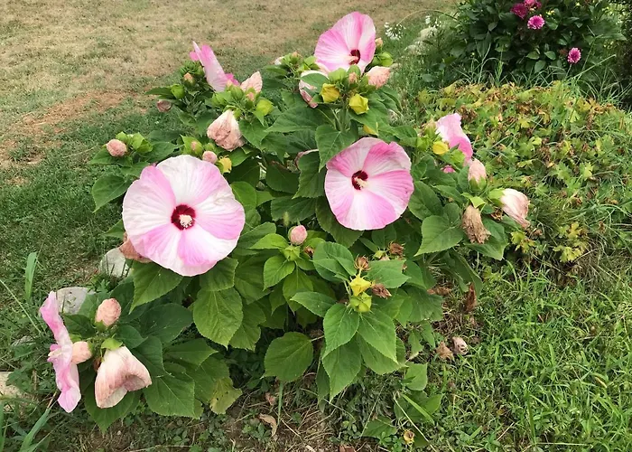 Location 4 Personnes - La Petite Maison
