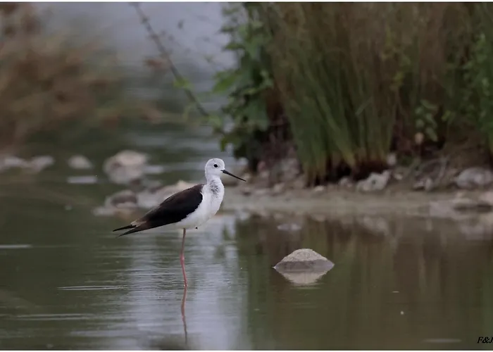 Сasa de vacaciones Location 4 Personnes - La Petite Maison *