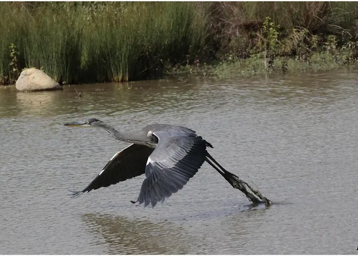 Location 4 Personnes - La Petite Maison * Mazères