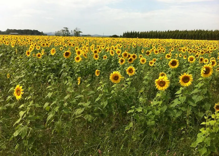 Location 4 Personnes - La Petite Maison Сasa de vacaciones