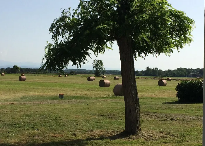 Location 4 Personnes - La Petite Maison Сasa de vacaciones Mazères